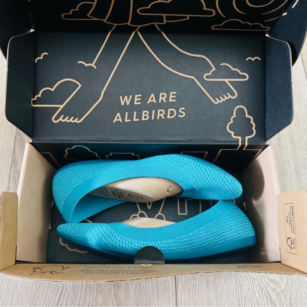 Allbirds Tree Breezers Women's Size 6 Caribbean Blue Slip On Ballet Flats NWT